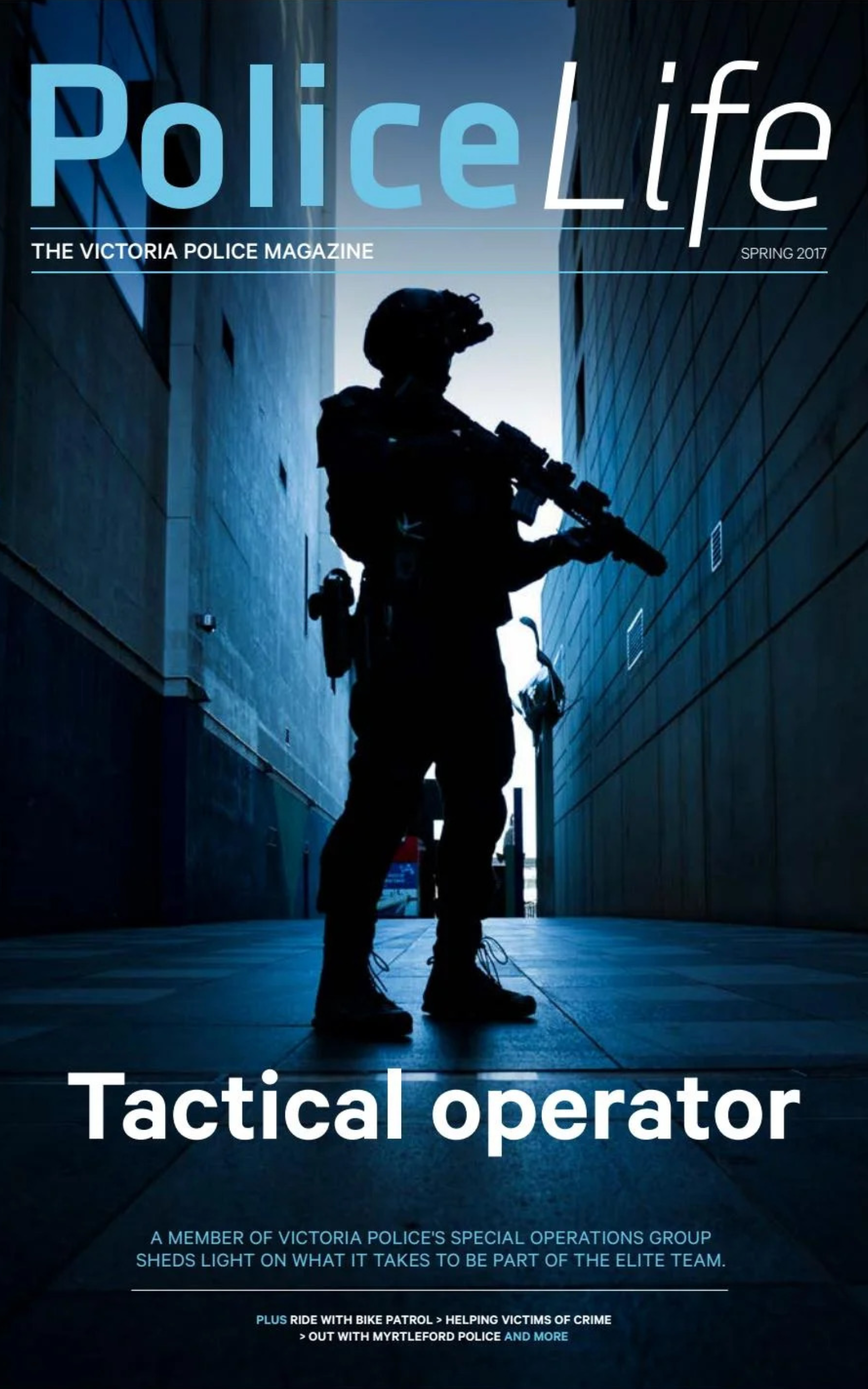 The News Book Cover (12)