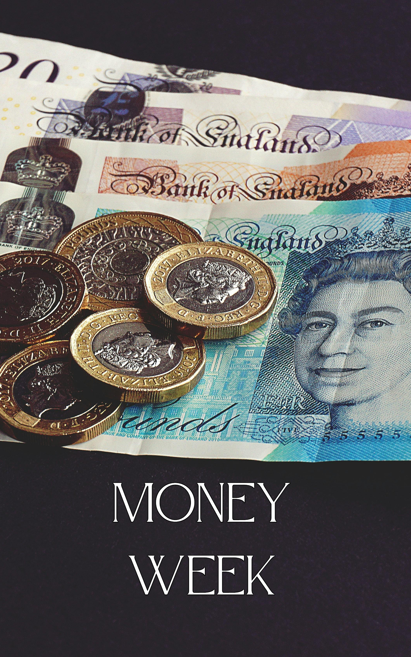 The News Book Cover (7)